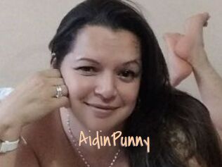 AidinPunny