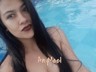 AnyMeel