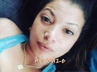 Aria_Maze