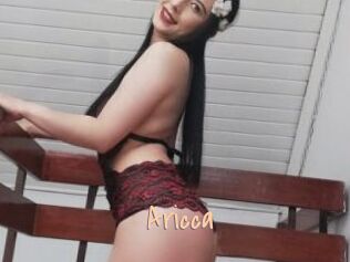Aricca
