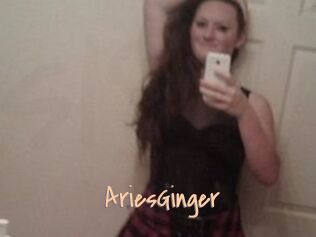 AriesGinger
