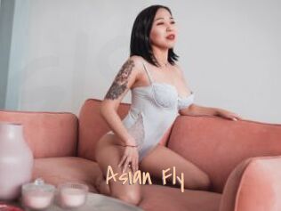 Asian_Fly