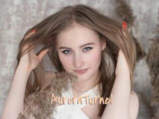 AuroraTurnel
