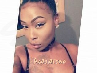 Acacia_rowe