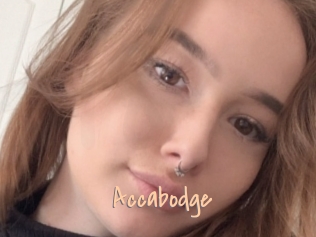 Accabodge