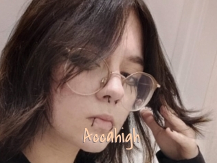 Accahigh