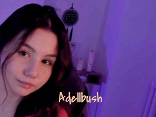 Adellbush