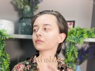 Aftonhase