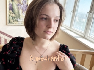 Agneshanter
