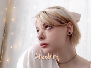 Alicebird