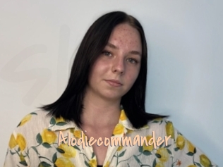 Alodiecommander
