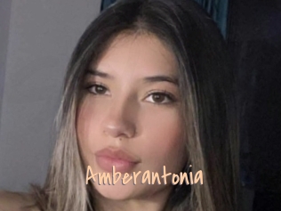 Amberantonia