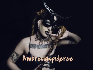 Ambrosiaspideree
