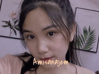 Amisanajem