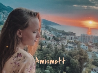 Amismett