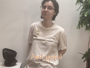 Amitygodsil