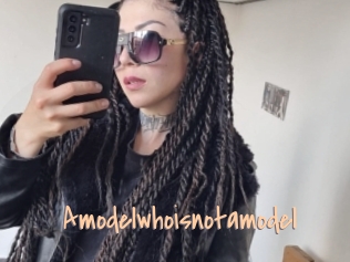 Amodelwhoisnotamodel