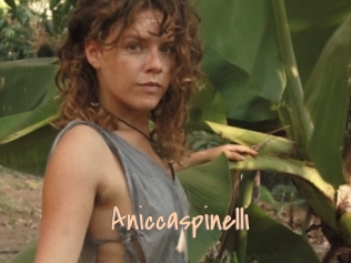 Aniccaspinelli