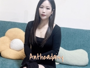 Antheadaisy