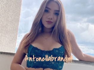 Antonellabrandm
