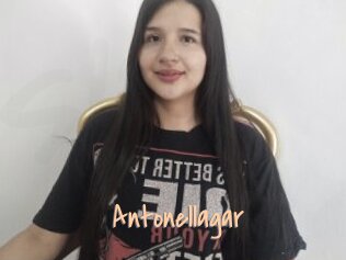 Antonellagar