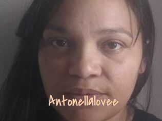 Antonellalovee