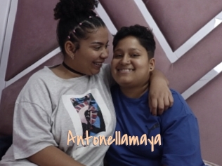 Antonellamaya