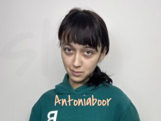 Antoniaboor