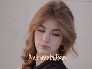 Antoniabufkin