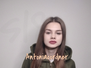 Antoniacordner