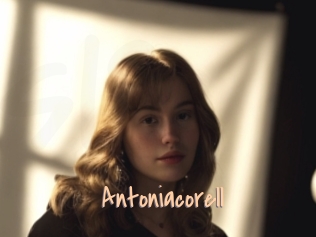 Antoniacorell