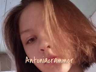 Antoniacrammer