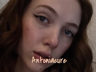 Antoniacure