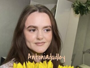 Antoniadudley