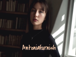 Antoniafurnish