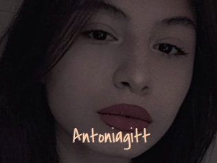 Antoniagitt