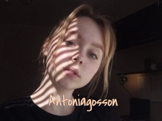 Antoniagosson