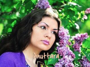 Anuttara