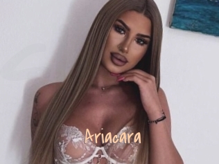 Ariacara