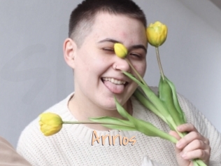 Aririos