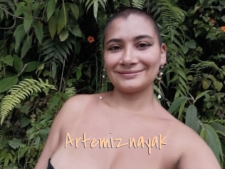 Artemiznayak