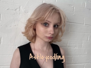 Ashleycodling