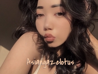 Asiangazelotus