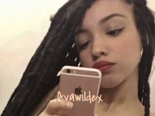 Avawildex