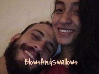 BlowsAndSwallows
