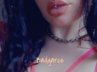 Badgarce