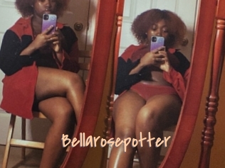 Bellarosepotter