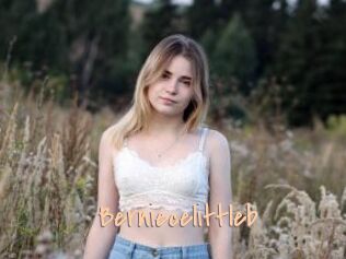 Berniecelittleb