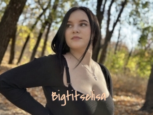 Bigtitselisa