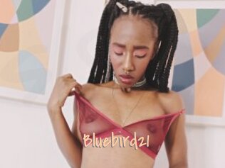 Bluebird21
